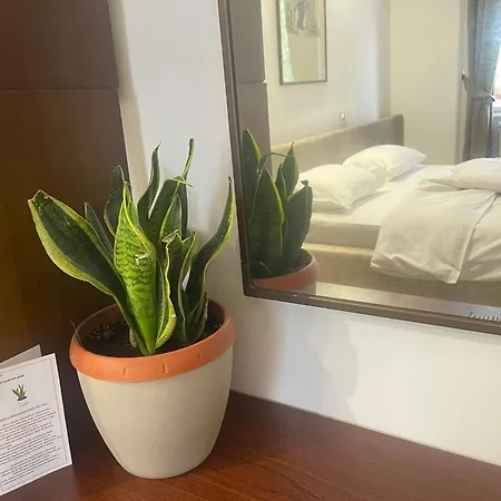 Romana Apartamento Saraievo